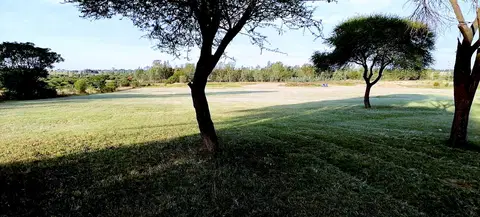 Outdoor activity, grounds and scenery