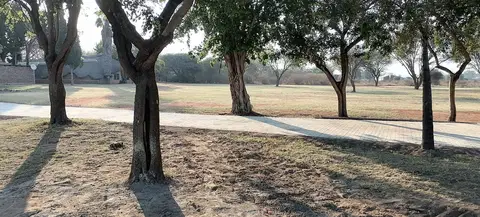 Outdoor activity, grounds and scenery