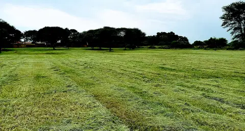 Outdoor activity, grounds and scenery
