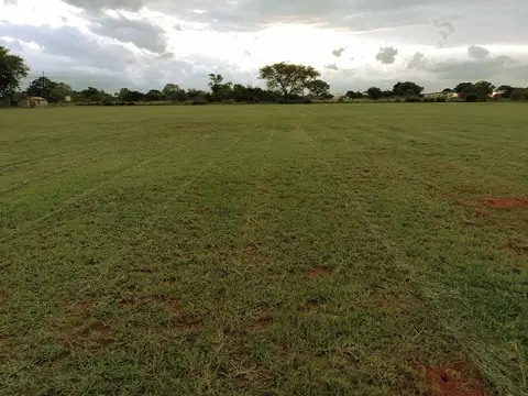 Outdoor activity, grounds and scenery