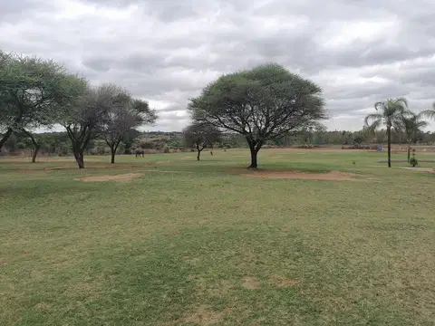 Outdoor activity, grounds and scenery