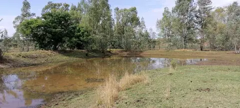 Outdoor activity, grounds and scenery