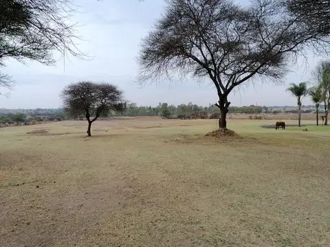 Outdoor activity, grounds and scenery