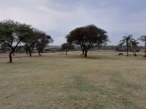 Outdoor activity, grounds and scenery