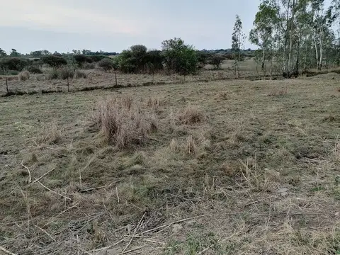 Outdoor activity, grounds and scenery