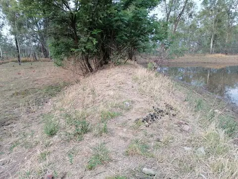 Outdoor activity, grounds and scenery