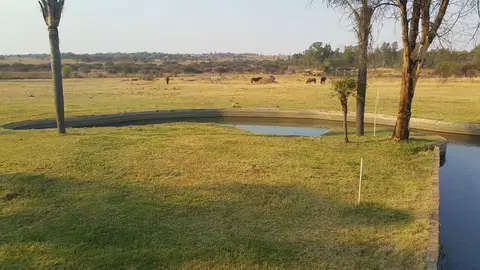 Outdoor activity, grounds and scenery