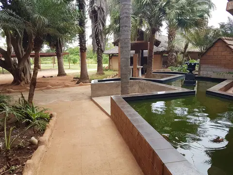 Outdoor activity, grounds and scenery