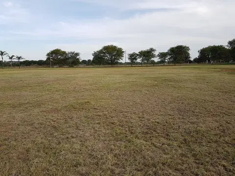 Outdoor activity, grounds and scenery
