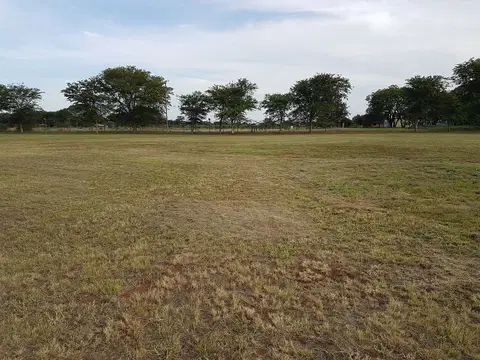 Outdoor activity, grounds and scenery