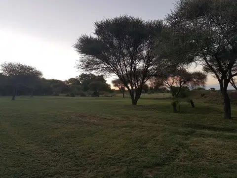 Outdoor activity, grounds and scenery