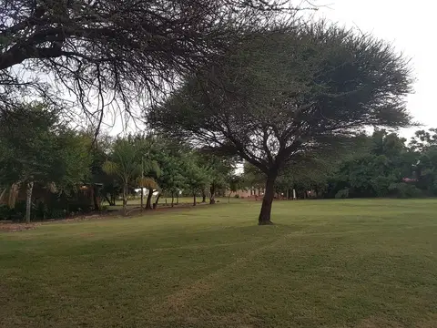 Outdoor activity, grounds and scenery