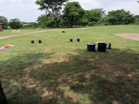 School, camp and teambuilding